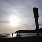 11334492_683099098485449_326674672_a