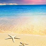 13166943_233858080314593_21337408_a