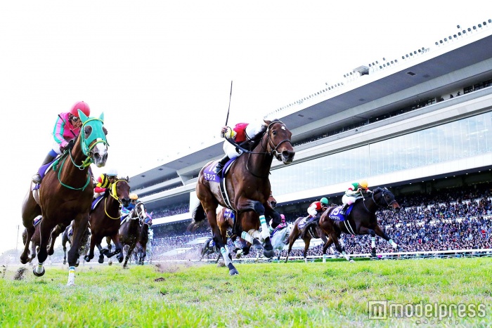迫力満点の競馬レース