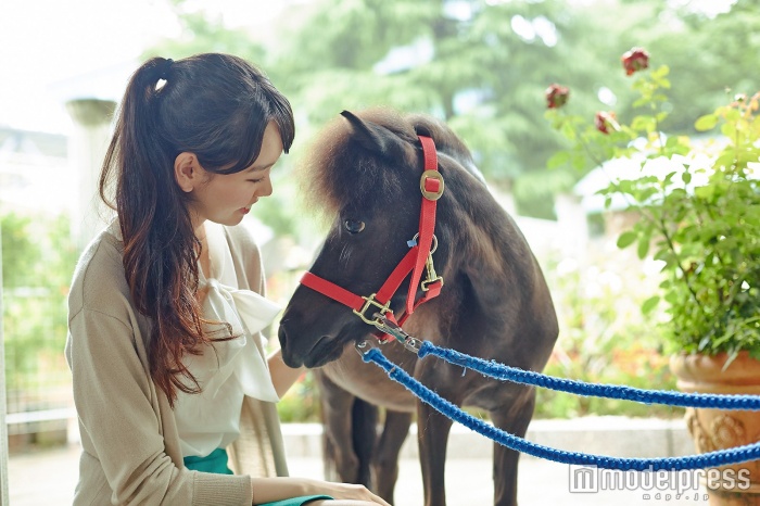 可愛い馬に癒される