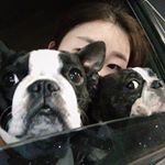 12917798_1698159927117726_1939940427_a