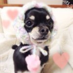 10454185_625734767554839_1095679047_a