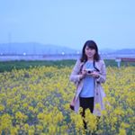 12912721_1750092355204872_107649570_a