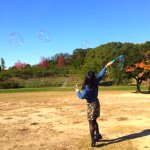 11055928_553277614814157_1448910852_a