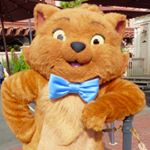 12918531_974817329233349_1459149094_a