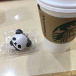 11899690_563578093793232_2110237515_a