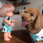 10747889_647151982070699_780378206_a