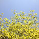 11313804_1031681860217351_513992285_a