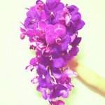 11850013_1488351261480566_1260228642_a