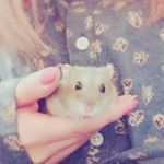 12751449_1668963100022176_2060530788_a