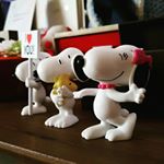 13129750_243167352709494_1339691756_a