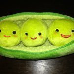 11917802_1463767237284739_946564726_a