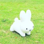 13129915_1084705194921437_718962202_a