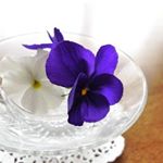 12523555_1535962016697106_1473970153_a