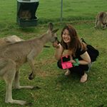 10666173_943592359067771_1897786472_a