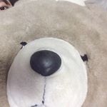 10597543_955189797899482_845161227_a