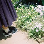 13116708_1172914212719629_151461044_a