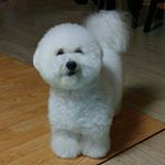 12298978_203065883370712_1227178108_a