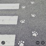 12965845_248785705473653_1472860647_a