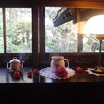 12277543_929305170491271_76629307_a