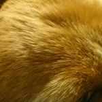 13181281_975617002534574_265254825_a