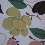 10963799_1562532410657030_395753911_a