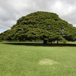 12120222_1510018935963196_1175323627_a