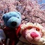 12930943_2023091271249377_2050955795_a