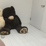 13260912_1715688115313483_1191008398_a