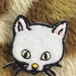 10932262_619074844888060_1677872954_a