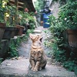 12912764_593324384178607_1891105030_a