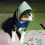 10632006_597460680405143_93143584_a