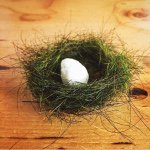 11372553_487050848122050_1546905094_a