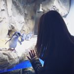 13129947_698130413623328_1754997950_a