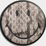 12907126_935891829859672_754462898_a