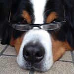 1388875_1709282395974124_1118093907_a