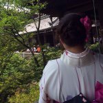 11348345_481204282047457_407341643_a