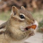 11849454_1891424851083635_739792476_a