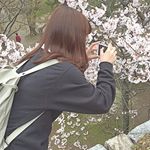 13188172_1617868051869310_1611521981_a