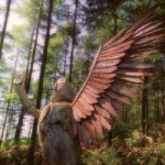 11055749_365024623684490_1584173186_a