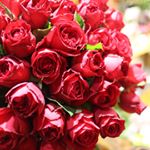 10453974_958218257585653_2047710328_a