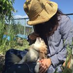 13118350_628149107340900_490139860_a