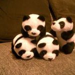 10520270_644832042282377_2091169280_a