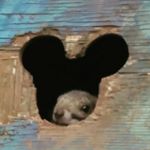 13113759_126019267802147_522181903_a