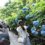 12224106_758039420991055_137186918_a