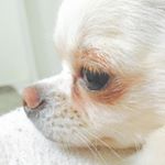 13129699_1403991512959667_626141183_a