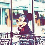 13108966_1615279938792495_1100939100_a