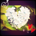 11909228_754123961366219_549234769_a