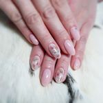 1515678_1737429589826011_1667036266_a