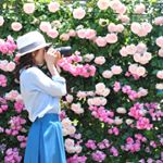 13188097_244914415869963_1009877721_a